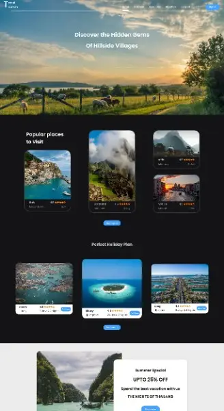 travel web development service2